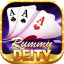 rummy cash bonus