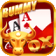 rummy online game