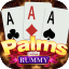 indian rummy download icon